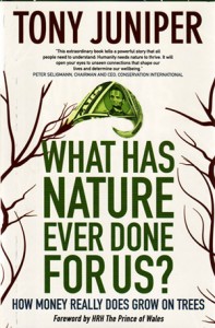 During recent years, environmental debate worldwide has been dominated by climate change, carbon emissions and the greenhouse effect.