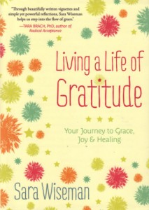 Sharing 88 uplifting and heartwarming stories that travel from the beginnings of life to the end, Wiseman shows you how to open your heart to a journey of reflection that will help you slow down and appreciate life for what it is.