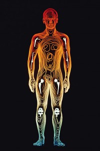 The spleen is one of the major chakras of the pranic healing system and is actually a major entry point for prana.