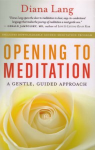The book includes a downloadable guided meditation program.