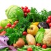 enzymes and nutrition